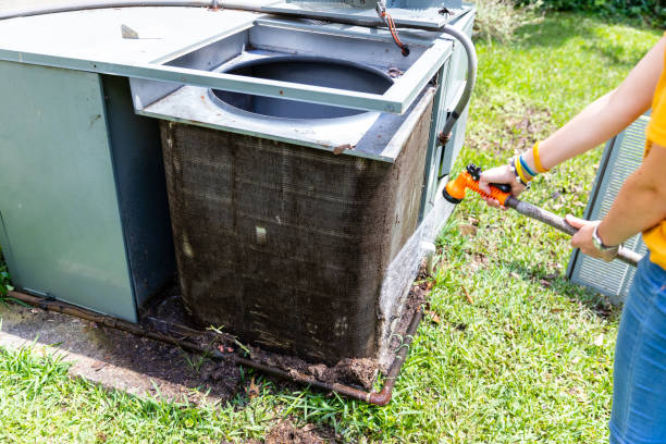 Best Air Duct Sanitizing Services  in Centreville, MI