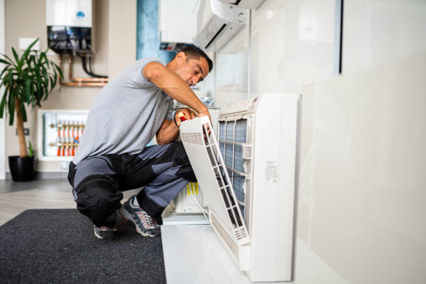 Best Residential Air Duct Cleaning  in Centreville, MI