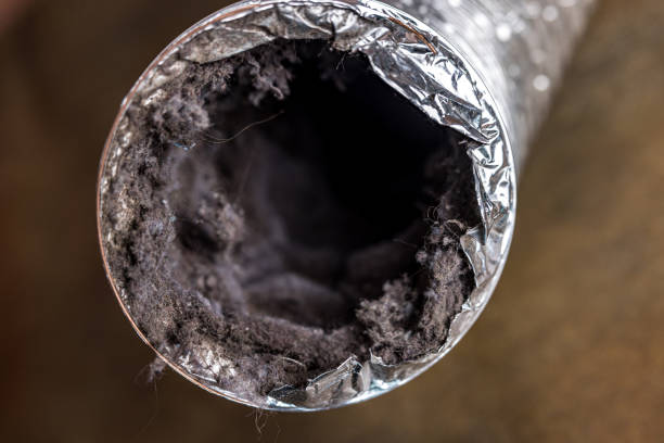 Best Ductwork Cleaning Services  in Centreville, MI