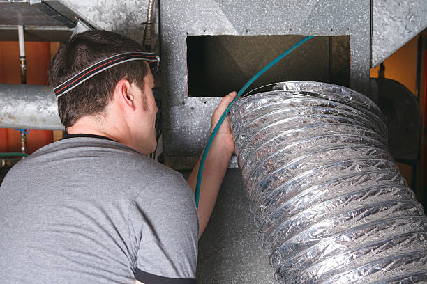 Best Air Duct Mold Removal  in Centreville, MI