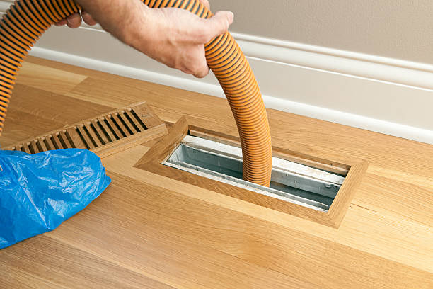 Best HVAC Duct Inspection Services  in Centreville, MI