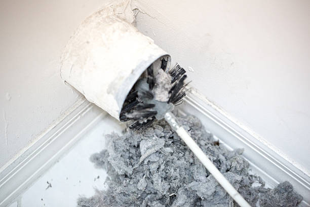 Best Commercial Air Duct Cleaning  in Centreville, MI